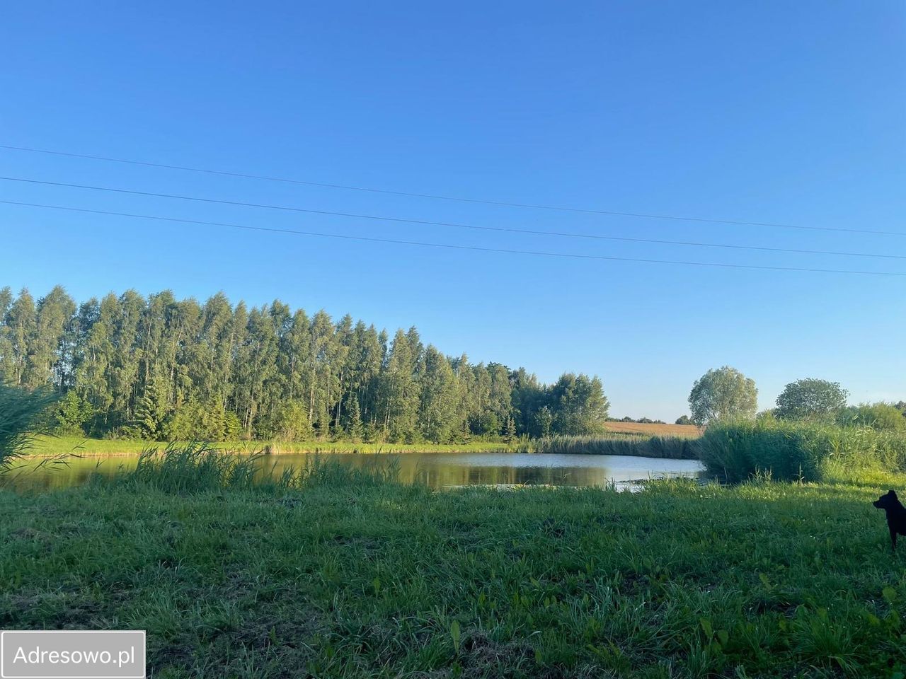 Działka siedliskowa Sulnowo