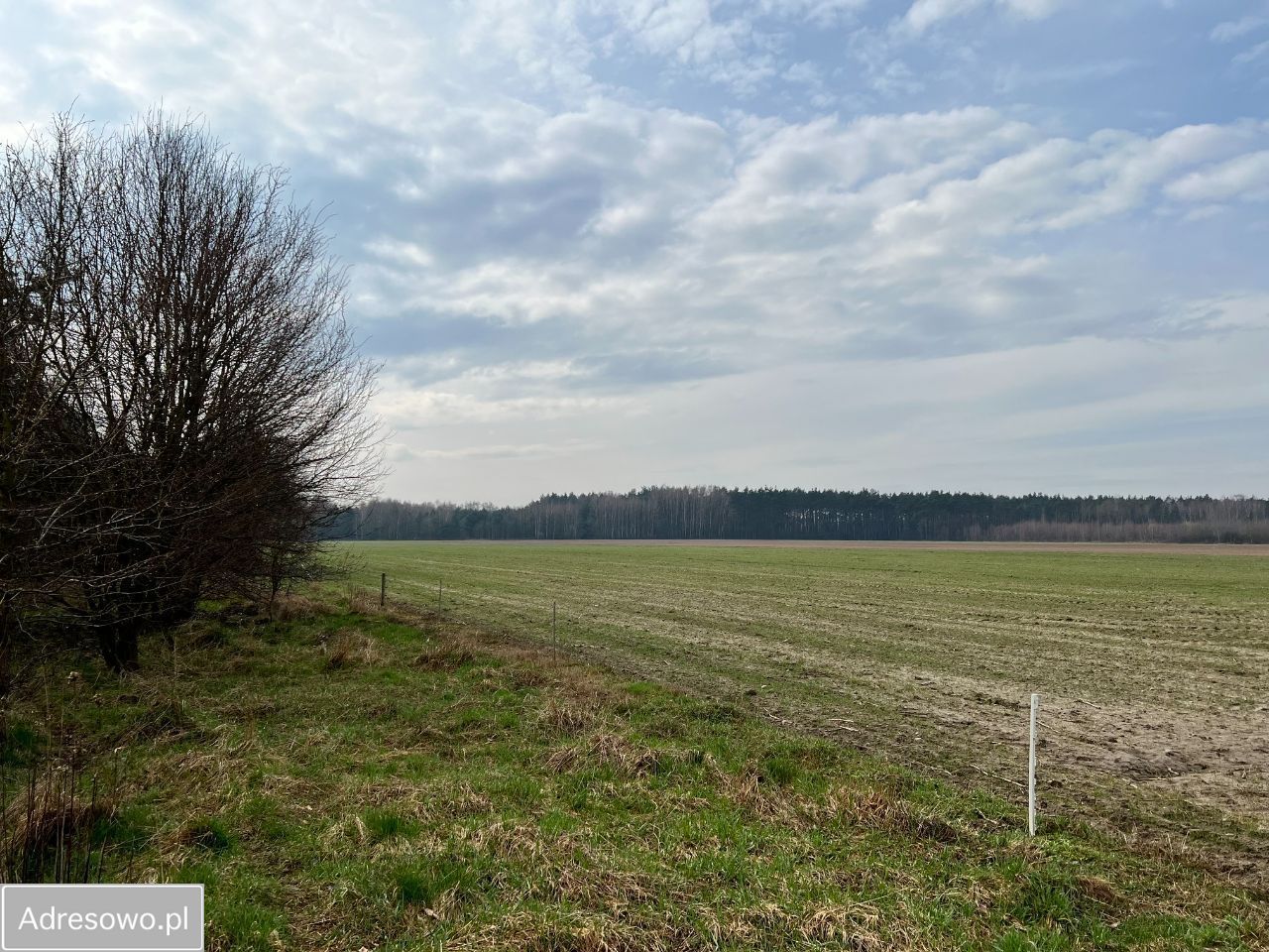 Działka rolno-budowlana Osowiec, ul. Łanowa. Zdjęcie 2