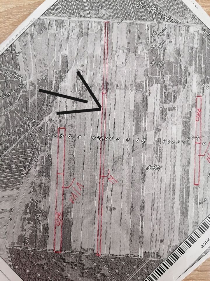 Działka rolno-budowlana Malamówka. Zdjęcie 2