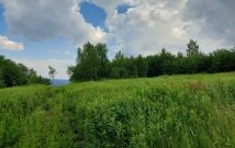 Działka budowlana Rożnów Wiesiółka. Zdjęcie 2