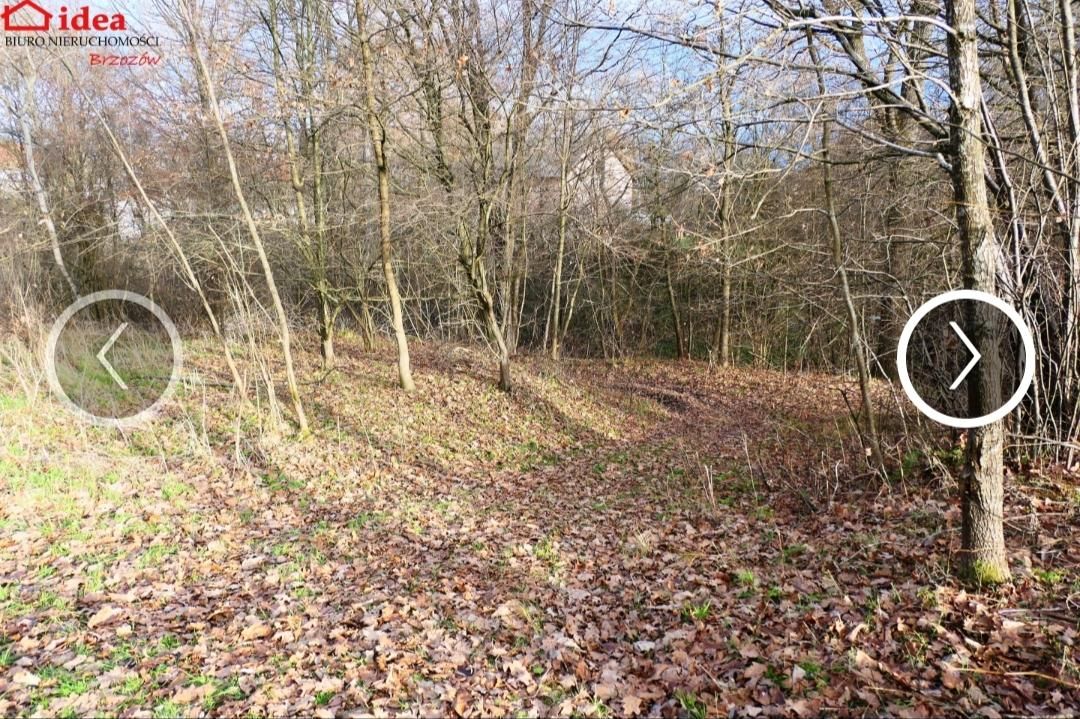 Działka rolno-budowlana Witryłów Rzeki nad Sanem. Zdjęcie 5