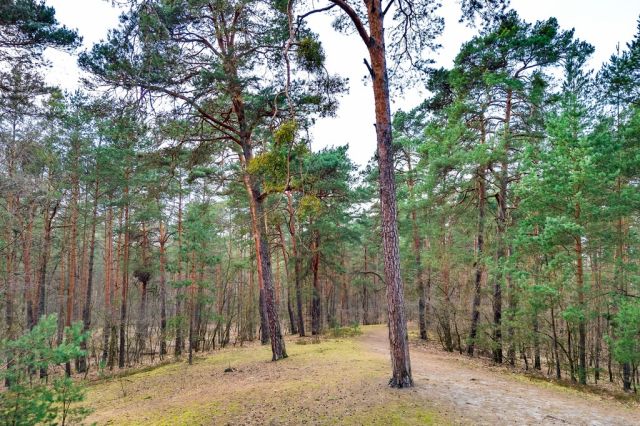 Mieszkanie 4-pokojowe Otwock, ul. Bolesława Chrobrego. Zdjęcie 41