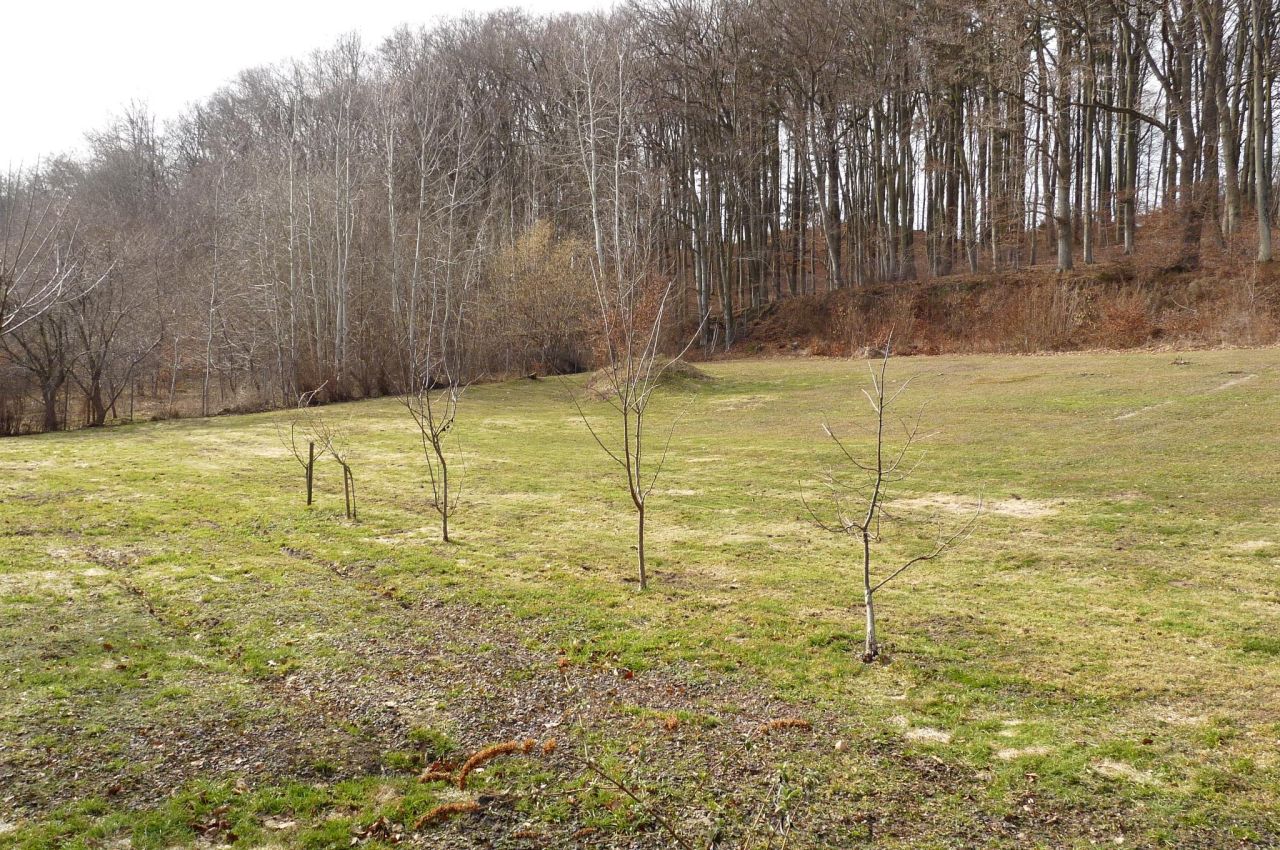 Działka budowlana Reda Ciechocino, ul. Gawędy. Zdjęcie 9