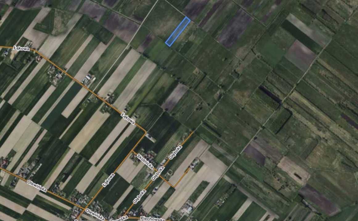 Działka rolna Wierzchlas. Zdjęcie 2