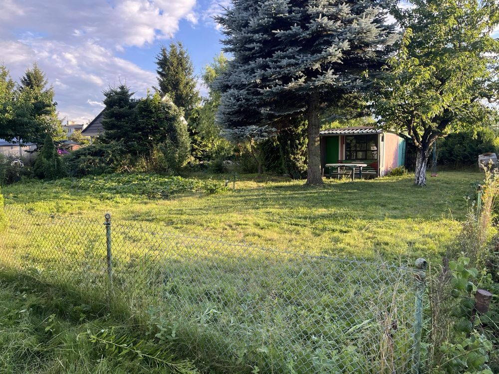 Działka rod Sępólno Krajeńskie