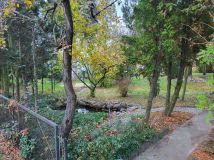 Działka rod Słupca. Zdjęcie 1