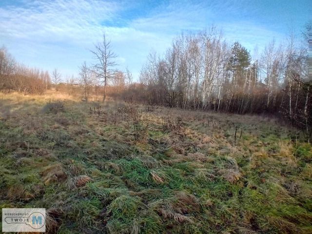 Działka inwestycyjna Daleszyce. Zdjęcie 8