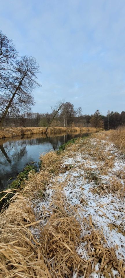 Działka budowlana Elgiszewo. Zdjęcie 5