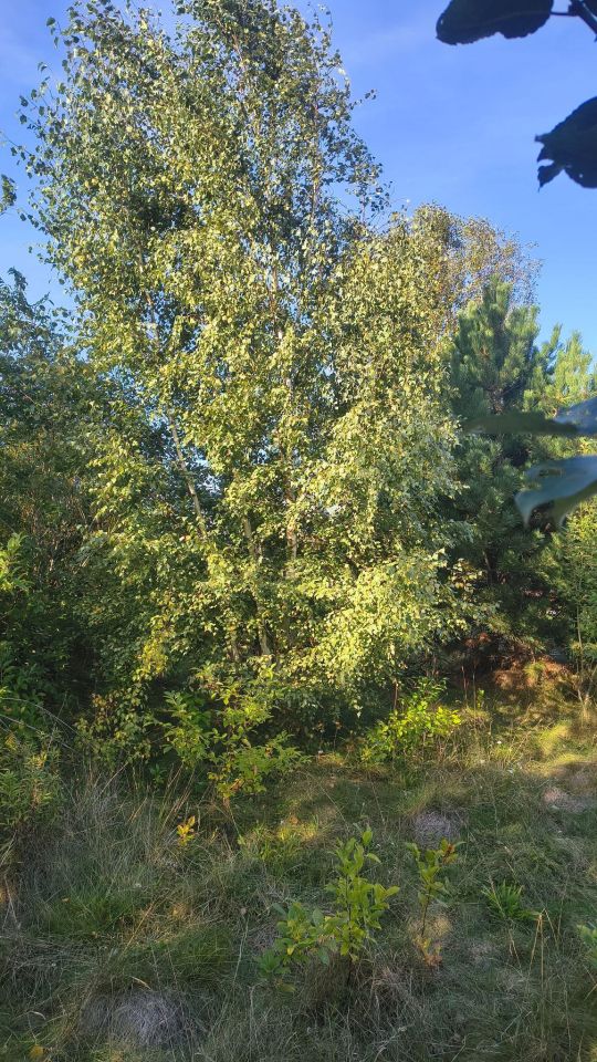 Działka budowlana Wronowice, ul. Skrzydlata. Zdjęcie 9