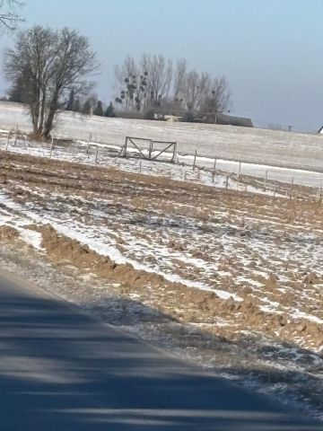 Działka budowlana Dąbrówka Nowa. Zdjęcie 1