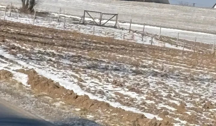 Działka budowlana Dąbrówka Nowa