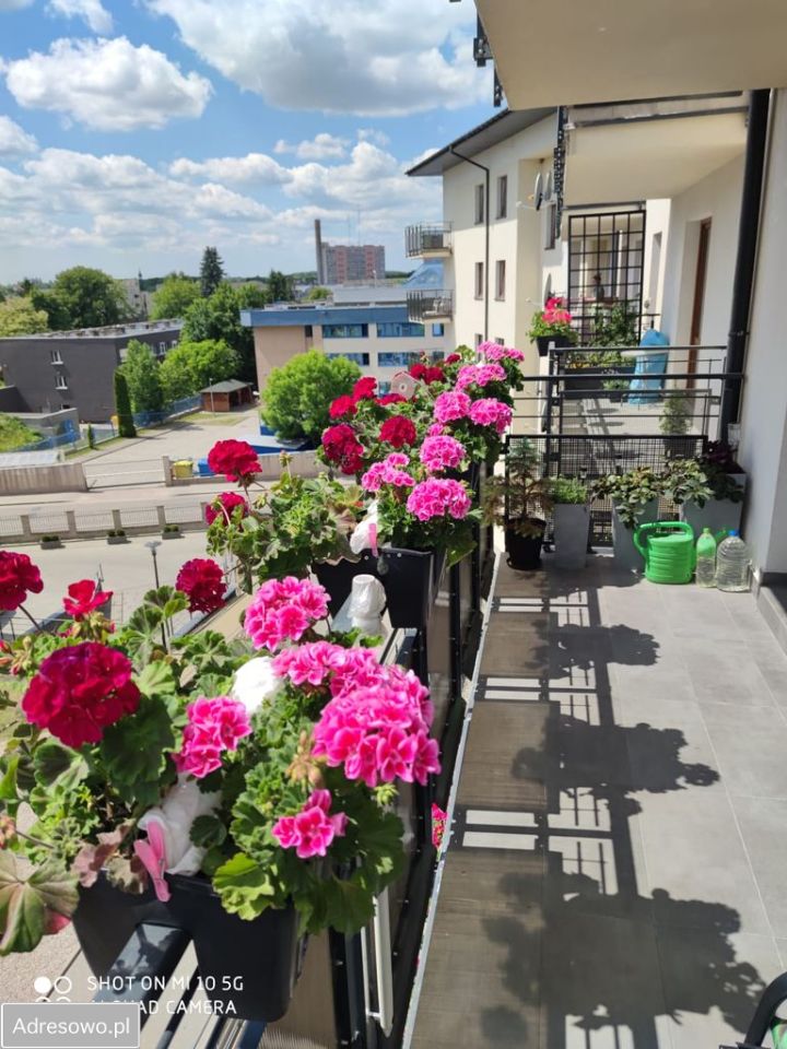 Mieszkanie 3-pokojowe Ciechanów, ul. Wincentego Witosa. Zdjęcie 9