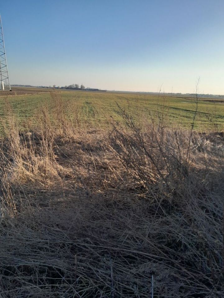 siedlisko Myszki. Zdjęcie 2