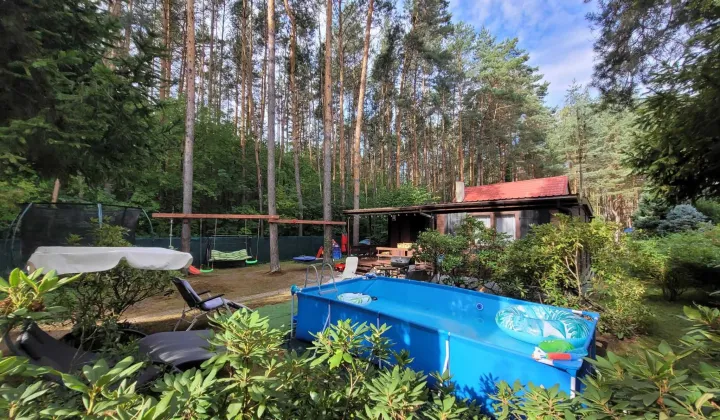 Działka rod Tuszyn Tuszyn-Las
