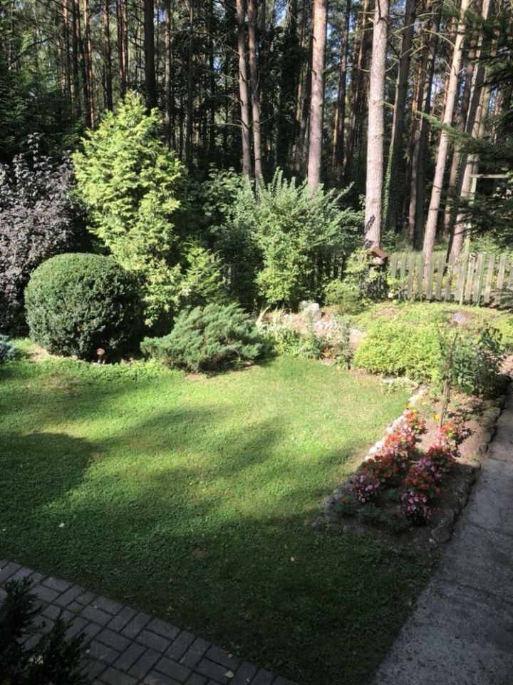 dom letniskowy Jedzbark. Zdjęcie 4