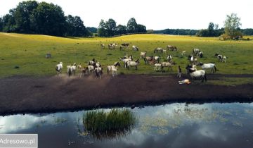 Działka siedliskowa Parcz