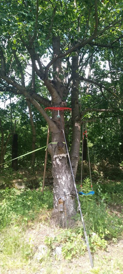 Działka rod Gliwice Zatorze, ul. Towarowa. Zdjęcie 10