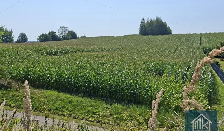 Działka budowlana Bodzanów