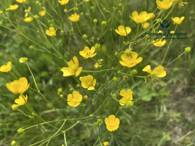 Działka budowlana Jaworze. Zdjęcie 16