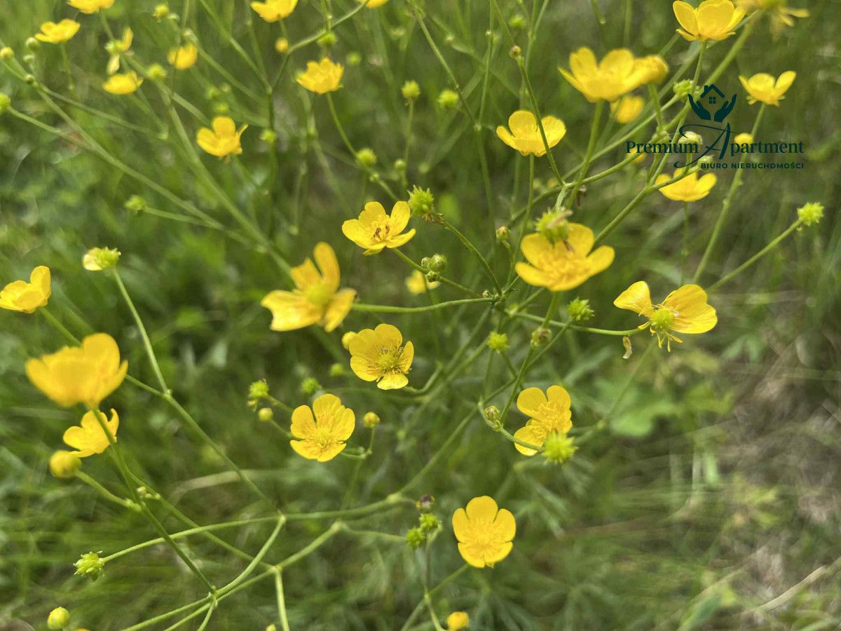 Działka budowlana Jaworze. Zdjęcie 16