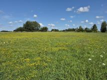 Działka budowlana Kownaciska, Brak Nazwy. Zdjęcie 1