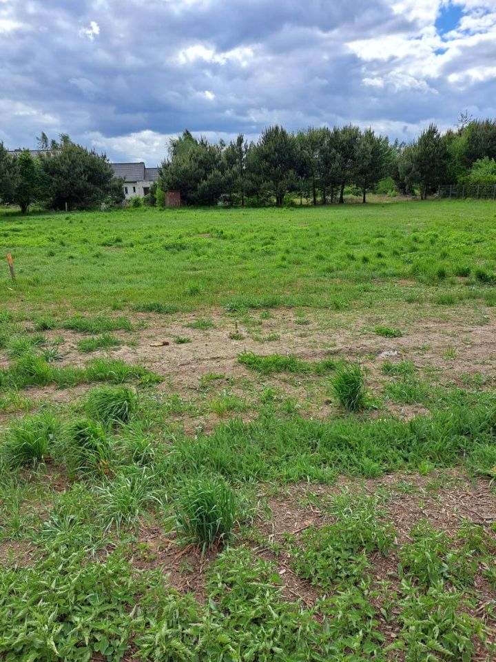 Działka budowlana Radzyń, ul. Sławska