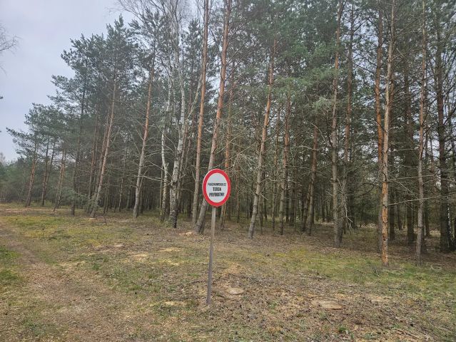 Działka budowlana Ważne Młyny, ul. Płaczkowska. Zdjęcie 1