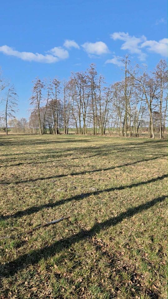 Działka budowlana Szetlew. Zdjęcie 5