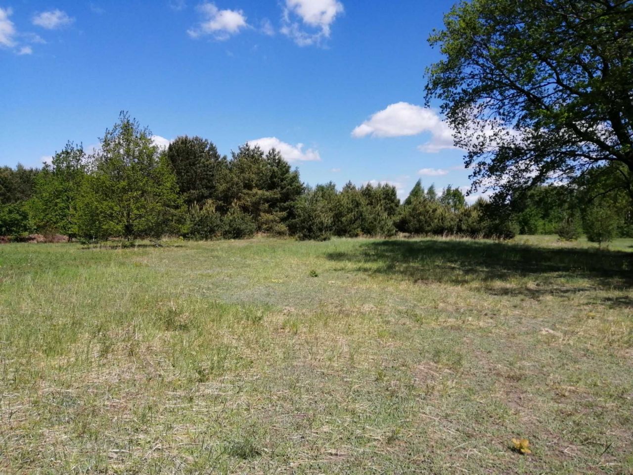 Działka budowlana Żłobnica. Zdjęcie 3