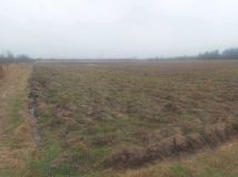 Działka rolna Pysznica. Zdjęcie 2