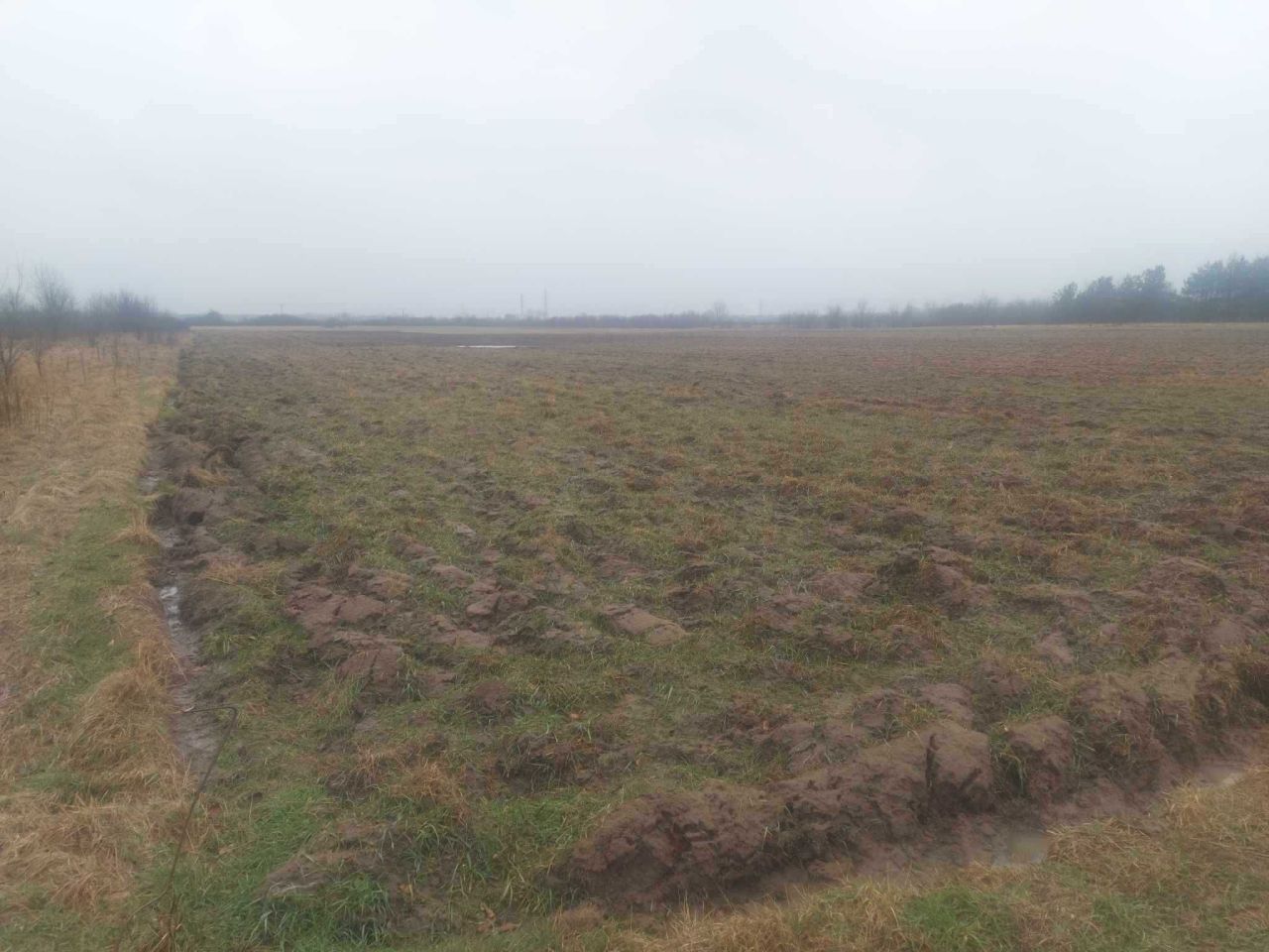 Działka rolna Pysznica. Zdjęcie 3