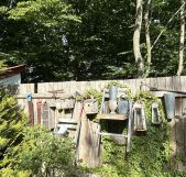 Działka rod Szczecin Centrum. Zdjęcie 2