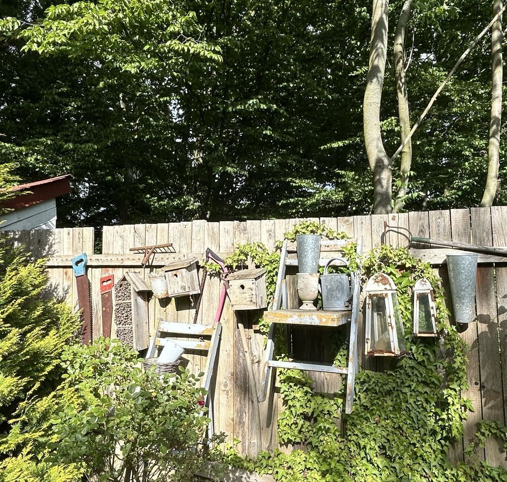 Działka rod Szczecin Centrum. Zdjęcie 3