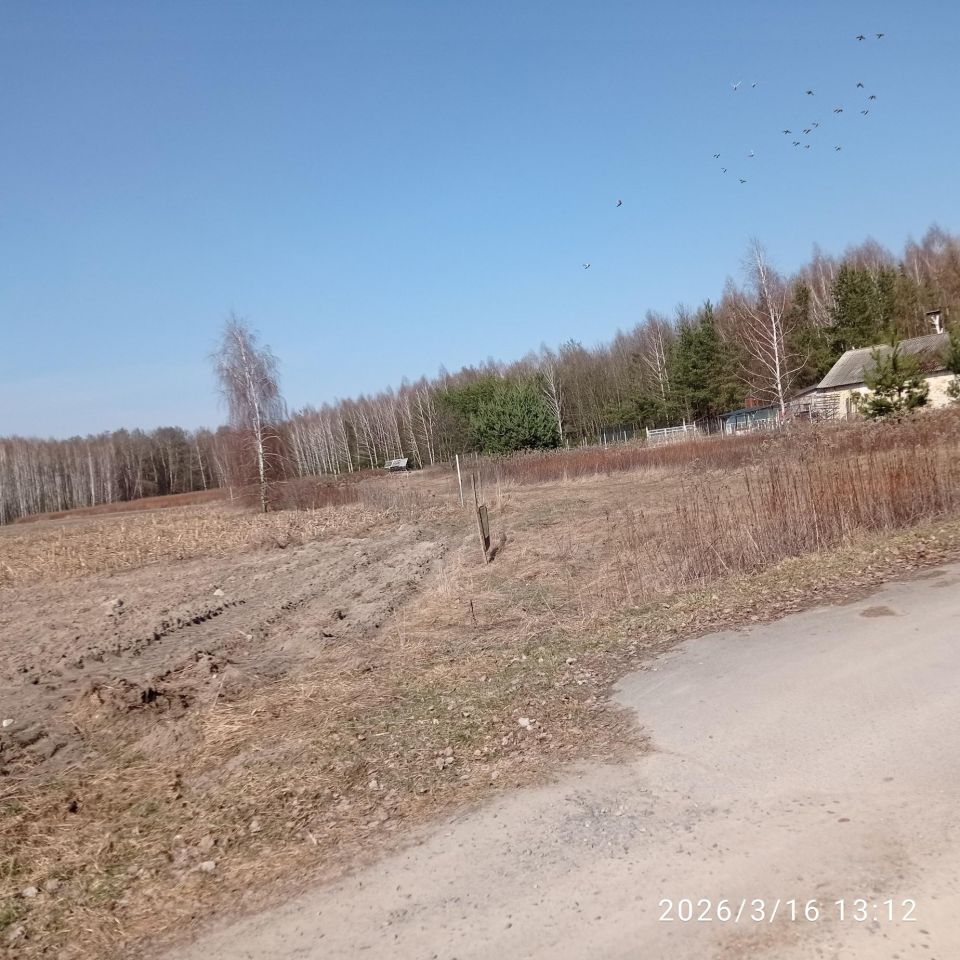 Działka budowlana Pająków. Zdjęcie 5