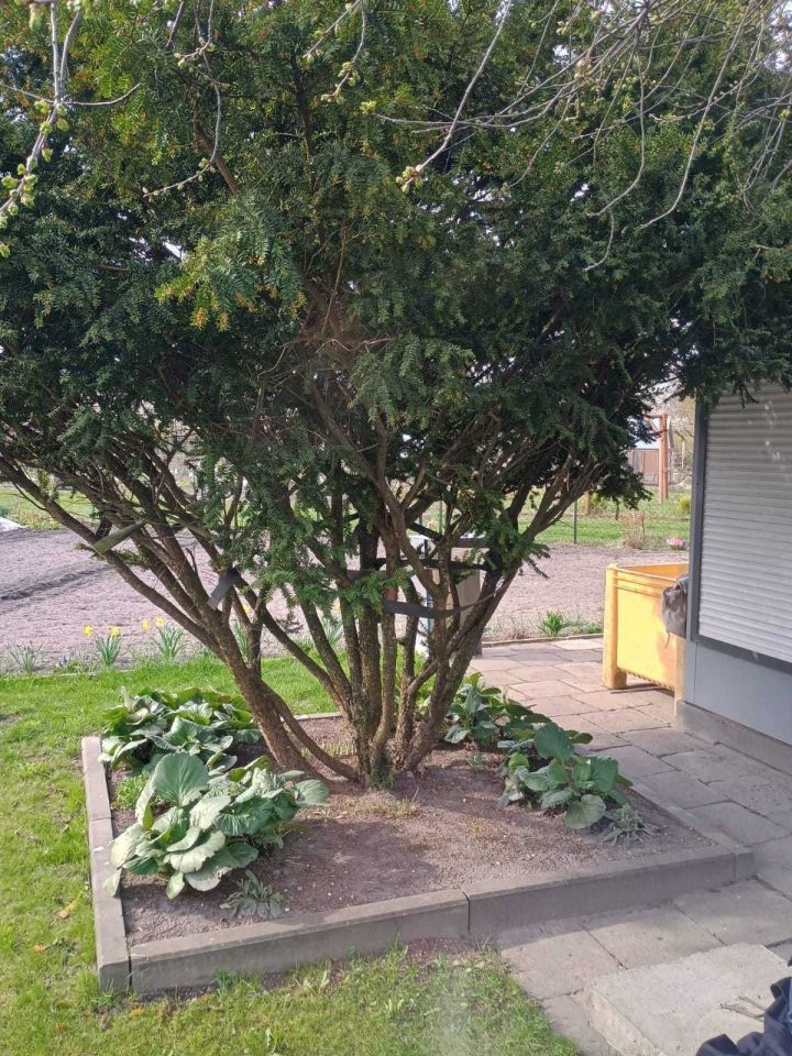 Działka rod Chełm, ul. Żabia. Zdjęcie 3