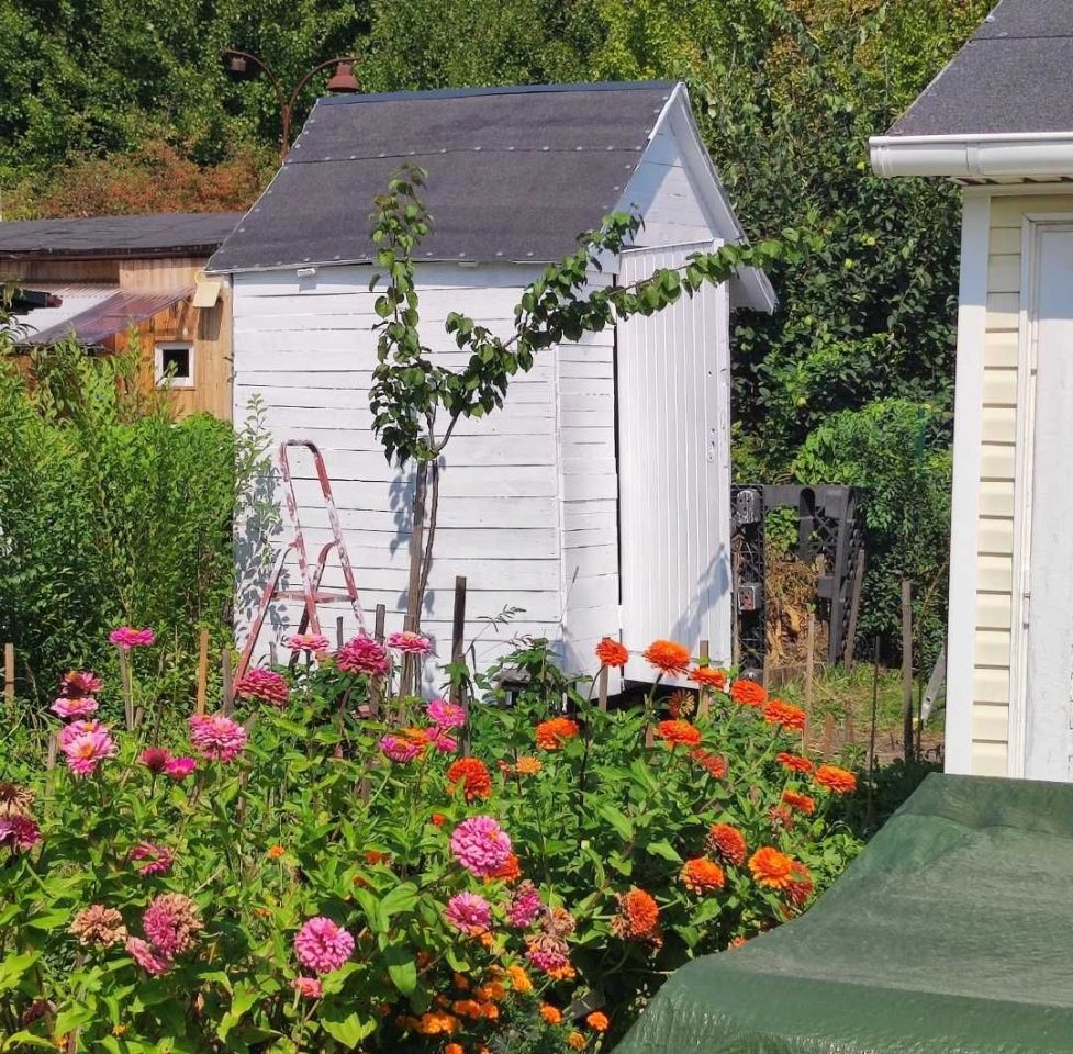 Działka rod Warszawa Paluch. Zdjęcie 4