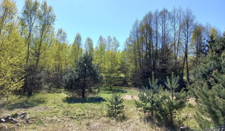 Działka budowlana Dębiec