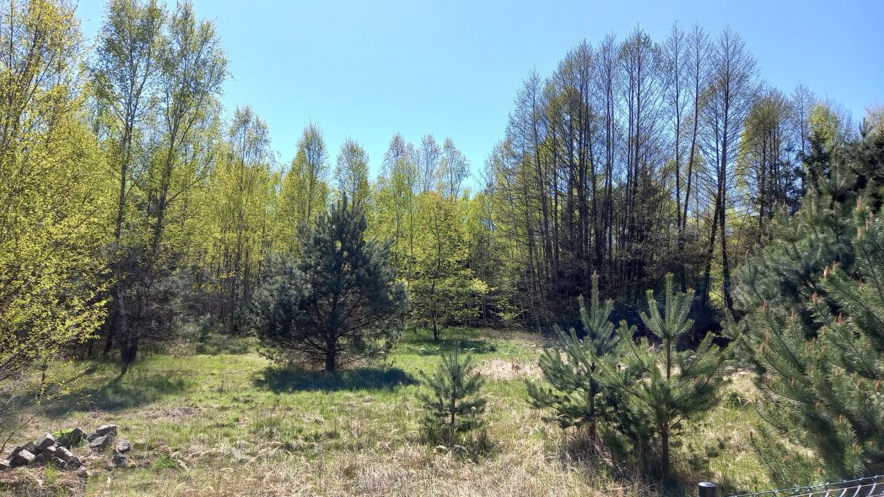 Działka budowlana Dębiec. Zdjęcie 1