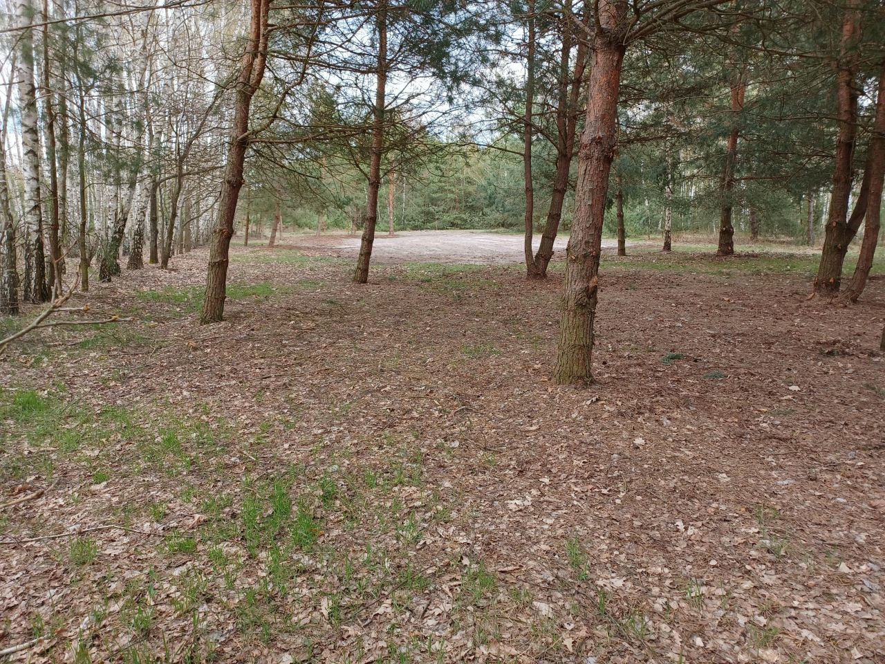 Działka budowlana Rawica-Józefatka. Zdjęcie 5