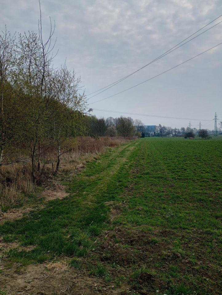 Działka inwestycyjna Żory Baranowice, ul. Familijna. Zdjęcie 7