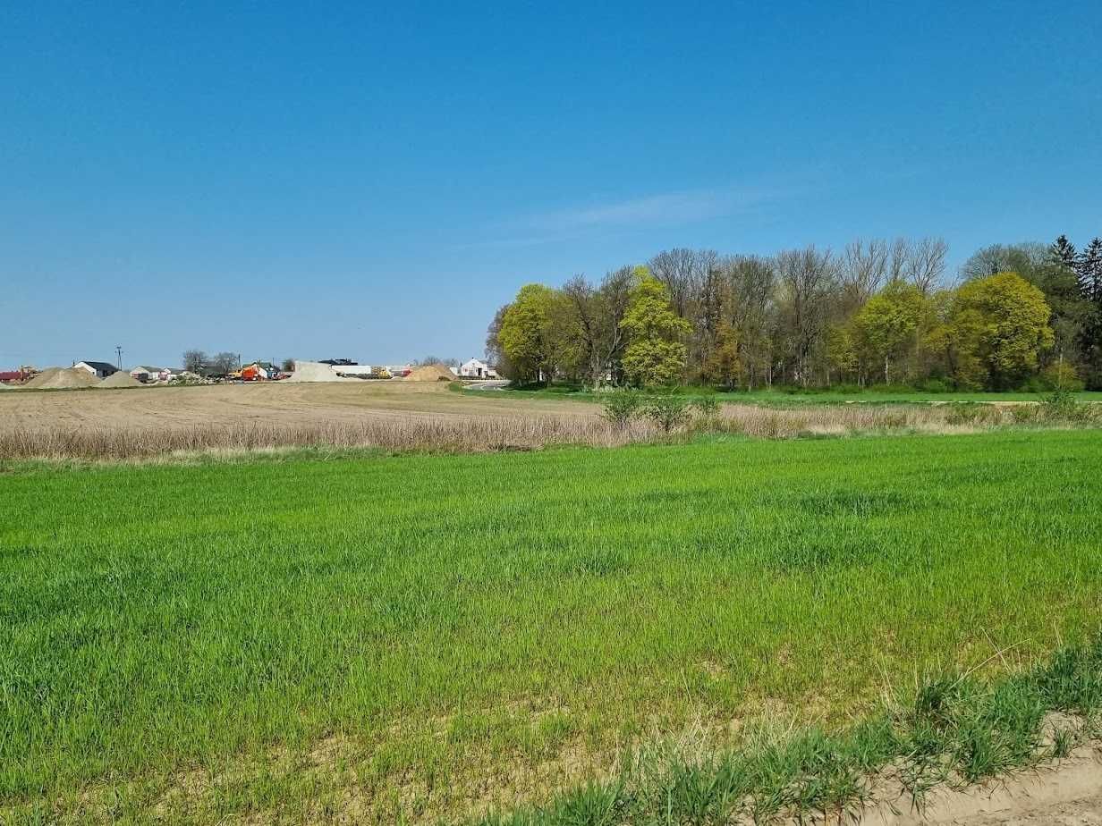 Działka rolna Wólka Domaszewska. Zdjęcie 1