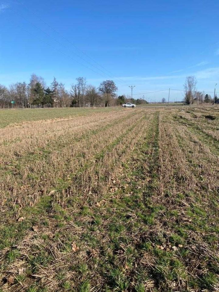 Działka budowlana Ludwinowo Zegrzyńskie. Zdjęcie 4