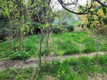 Działka rod Wrocław Partynice, ul. Ołtaszyńska. Zdjęcie 3