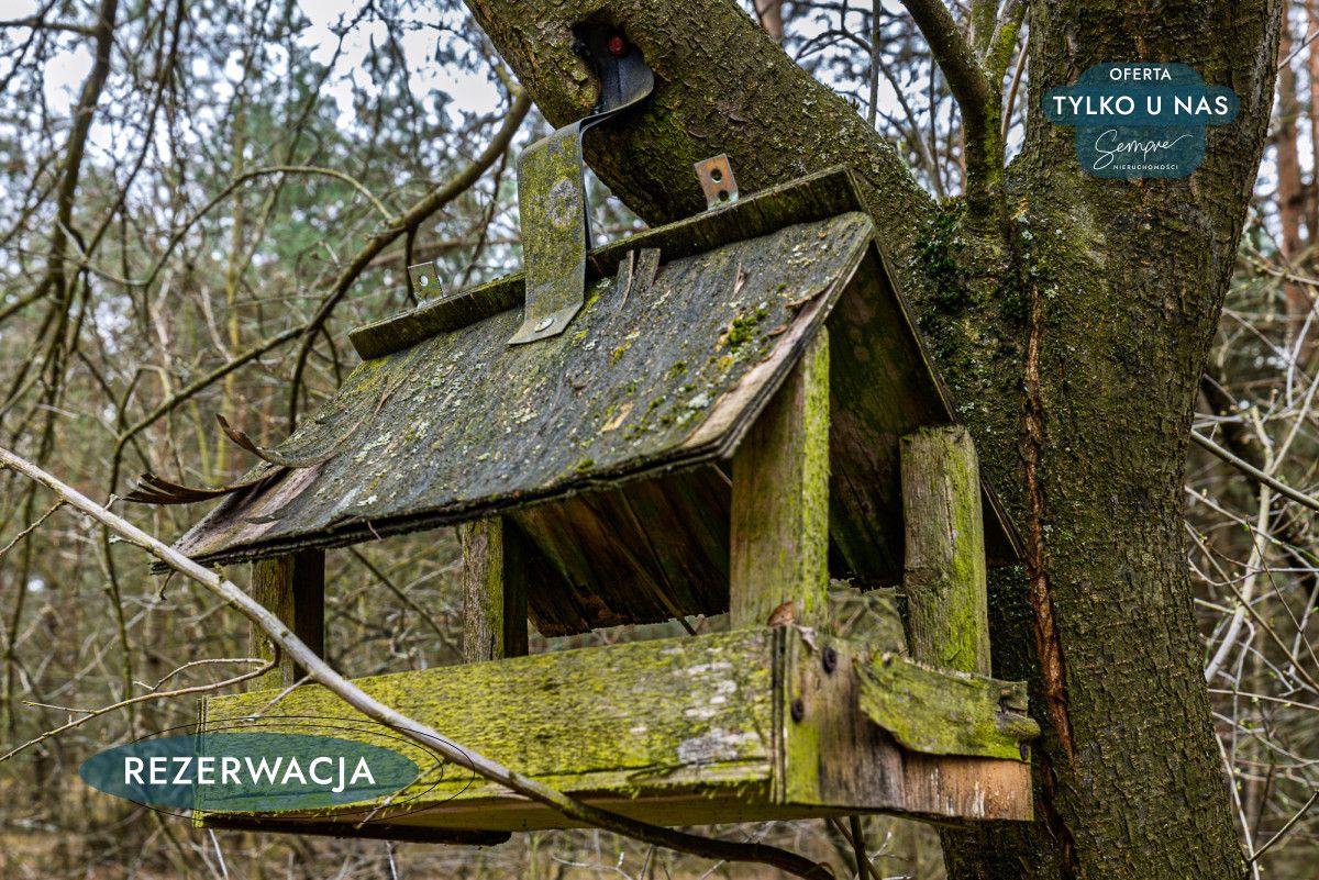 Działka leśna Kije. Zdjęcie 18