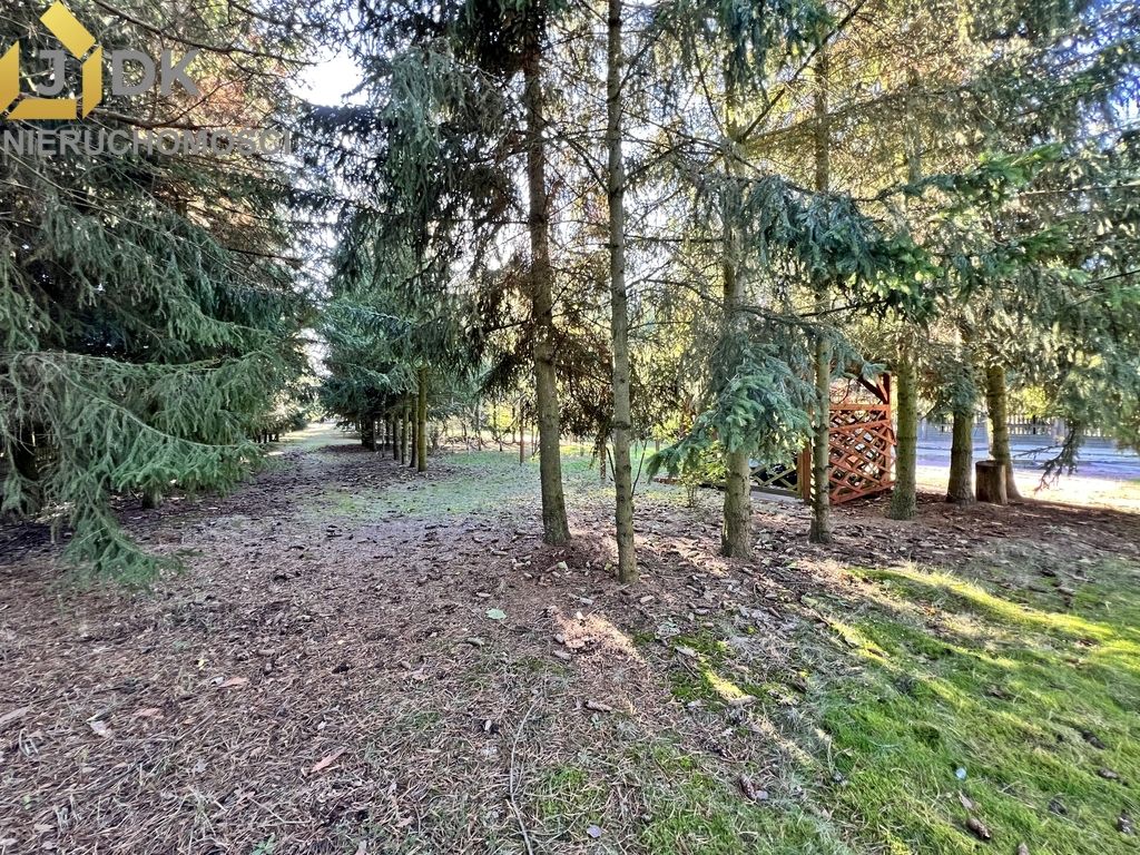 dom wolnostojący, 5 pokoi Lasocin. Zdjęcie 8