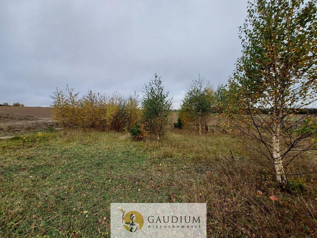 Działka Otomino. Zdjęcie 6