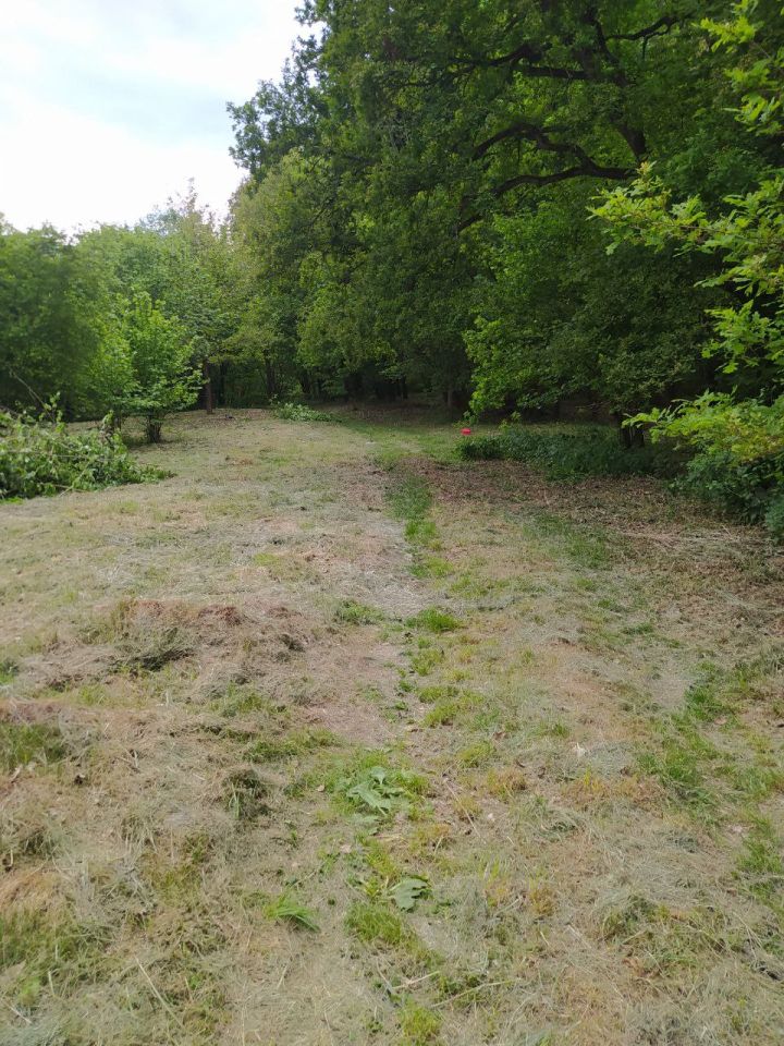 Działka budowlana Gronów. Zdjęcie 5