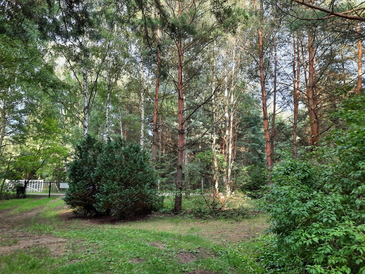 dom wolnostojący, 6 pokoi Kuklówka Zarzeczna. Zdjęcie 6
