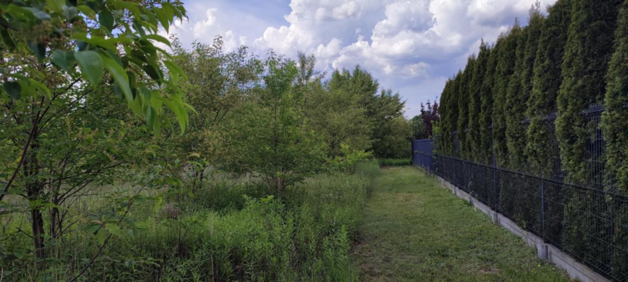 Działka budowlana Pysznica, ul. Wrzosowa. Zdjęcie 4