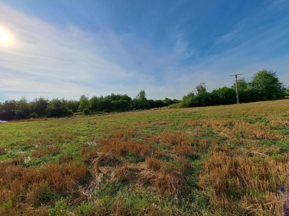 Działka budowlana Stalowa Wola Charzewice, ul. Graniczna. Zdjęcie 4